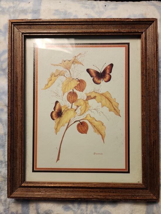 Other - Vintage Stegmeier Botanical Print "Chinese Lanterns & Butterflies" Framed...